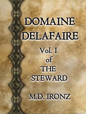bigCover of the book Domaine Delafaire by 