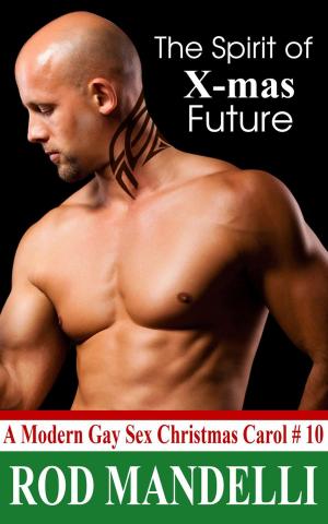 Cover of the book The Spirit of X-Mas Future by Lacy Wren