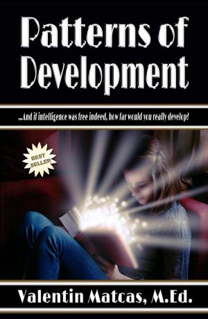 bigCover of the book Patterns of Development by 