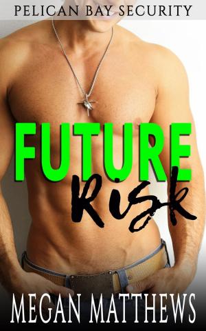 Cover of the book Future Risk by David A. Scott