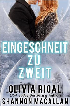 Book cover of Eingeschneit zu zweit