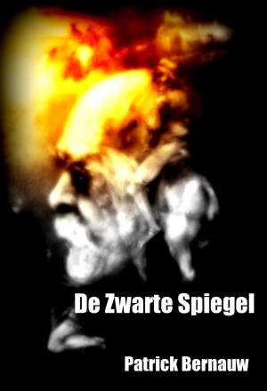 Book cover of De Zwarte Spiegel