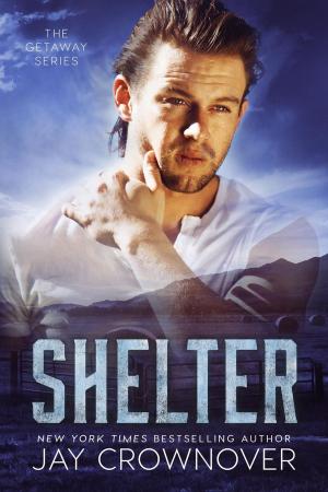 Cover of the book Shelter by Ken Smith