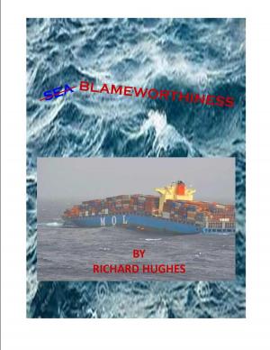 Cover of the book SeaBlameworthiness by Joe King