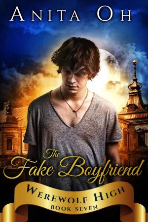Cover of the book The Fake Boyfriend by J. G. Sauer