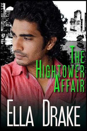 Cover of the book The Hightower Affair by Linda Winstead Jones