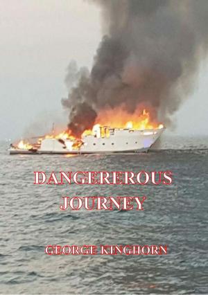 Book cover of Dangerous Journey