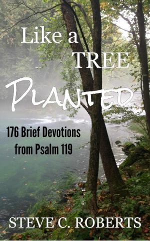 Cover of the book Like a Tree Planted by Peggy Senger Morrison