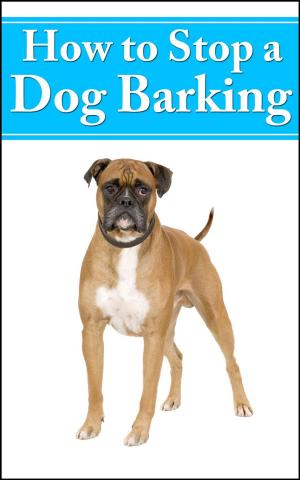 Cover of the book How to Stop Dog Barking by Judy Morgan DVM, Hue Grant