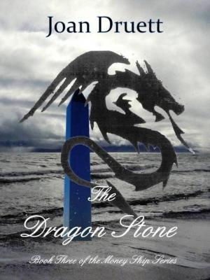Book cover of The Dragon Stone