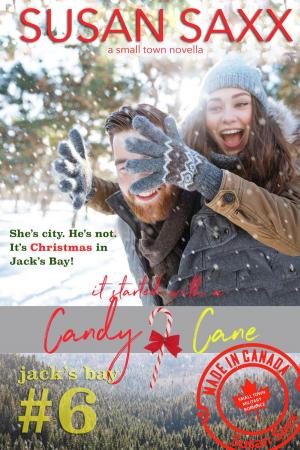 Cover of the book It Started with a Candy Cane by Valerie Francis