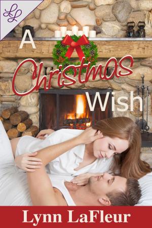 Book cover of A Christmas Wish