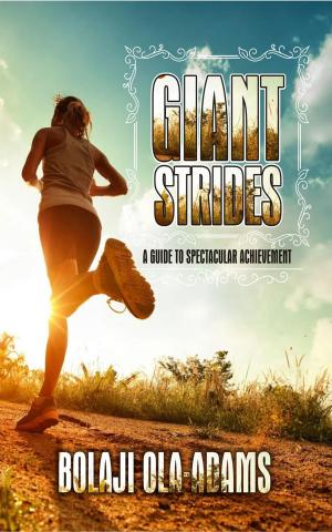 Book cover of Giant Strides