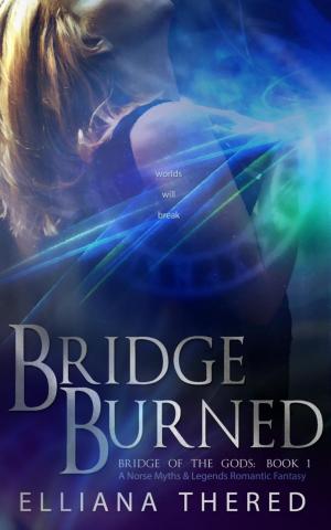 Cover of the book Bridge Burned by Sandrine LOUVALMY