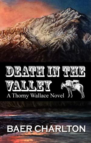 Book cover of Death in the Valley