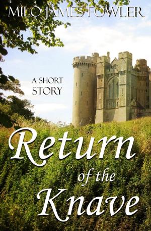 Book cover of Return of the Knave