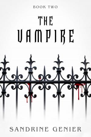 Cover of the book The Vampire Book Two by Joseph  A. Wailes