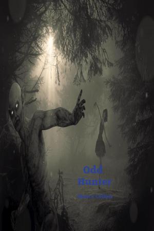 Cover of the book Odd Hunter by VARUN Vashist