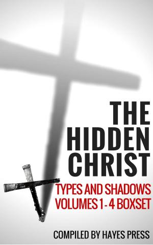 Book cover of The Hidden Christ - Volumes 1-4 Box Set