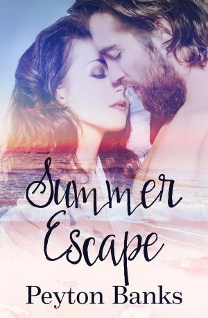 Book cover of Summer Escape