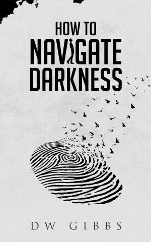Cover of How to Navigate Darkness