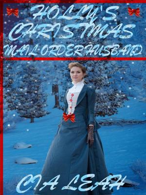 Book cover of Holly's Christmas Mail Order Husband