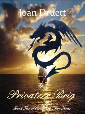 Cover of the book The Privateer Brig by V.E. Ulett