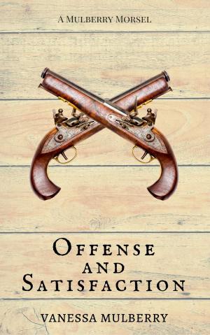 Cover of the book Offense and Satisfaction by Diane Craver