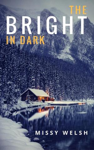 bigCover of the book The Bright In Dark by 