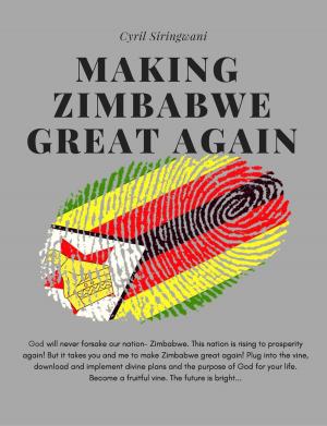 Cover of the book Making Zimbabwe Great Again by Lia Mills