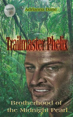 Cover of the book Trailmaster Phelix by Riley Long