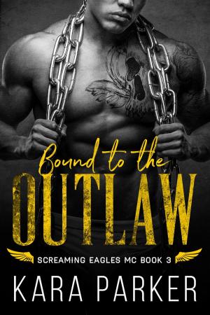 bigCover of the book Bound to the Outlaw by 