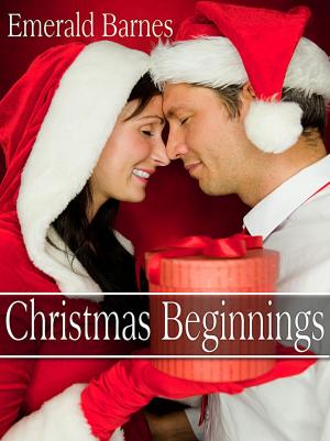 Cover of the book Christmas Beginnings by Elizabeth Kingston