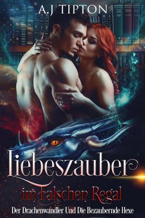 bigCover of the book Liebeszauber im Falschen Regal: Der Drachenwandler Und Die Bezaubernde Hexe by 