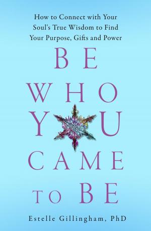 Cover of the book Be Who You Came to Be by José Ivan Carreras