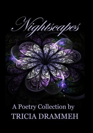 Book cover of Nightscapes: A Poetry Collection