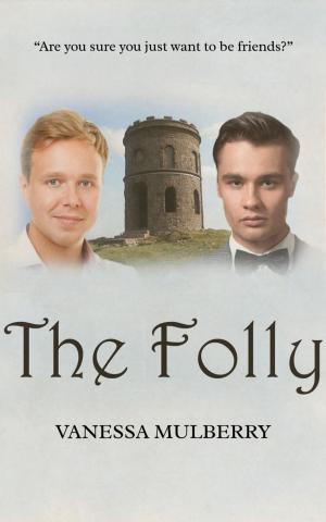 Cover of the book The Folly by Michael Cantwell