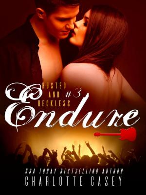 Cover of the book Endure by Sandra McGregor
