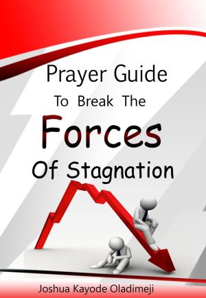 Book cover of Prayer guide to break the forces of stagnation