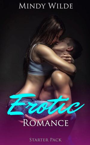 Cover of the book Erotic Romance Starter Pack by Sophie Jones