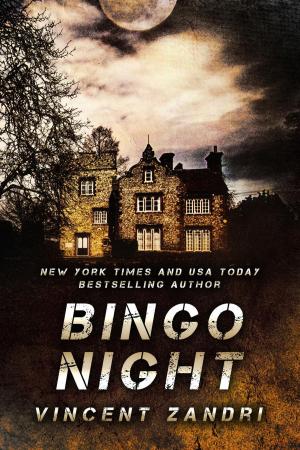 Book cover of Bingo Night