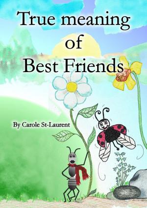 Book cover of True meaning of friendship