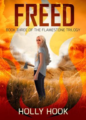 Cover of the book Freed (#3 Flamestone Trilogy) by Michael Marcondes