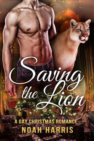 Cover of the book Saving A Lion: A Gay Christmas Romance by Natalie Anderson