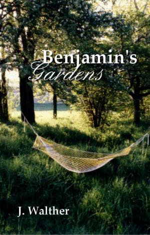 Cover of the book Benjamin's Gardens by Stuart Krimko