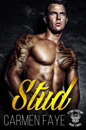 Cover of the book Stud by Lisa Ghilarducci