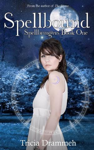 Cover of the book Spellbound by J. David Clarke