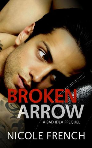 Cover of the book Broken Arrow by Nimet Erenler Gülkökü