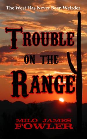 Cover of the book Trouble on the Range by X. W. Kavanagh