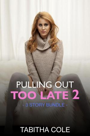 Cover of the book Pulling Out Too Late 2 by Tobia Spark